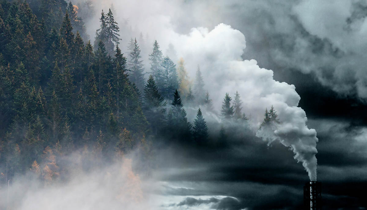 US Pledges to Cut Methane, World Promises to End Deforestation by 2030
