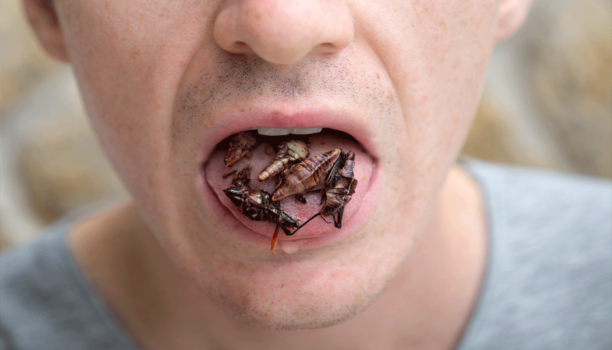 person-with-mouthful-of-bugs