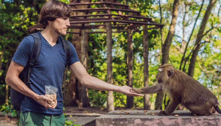 guy-holding-hands-with-monkey