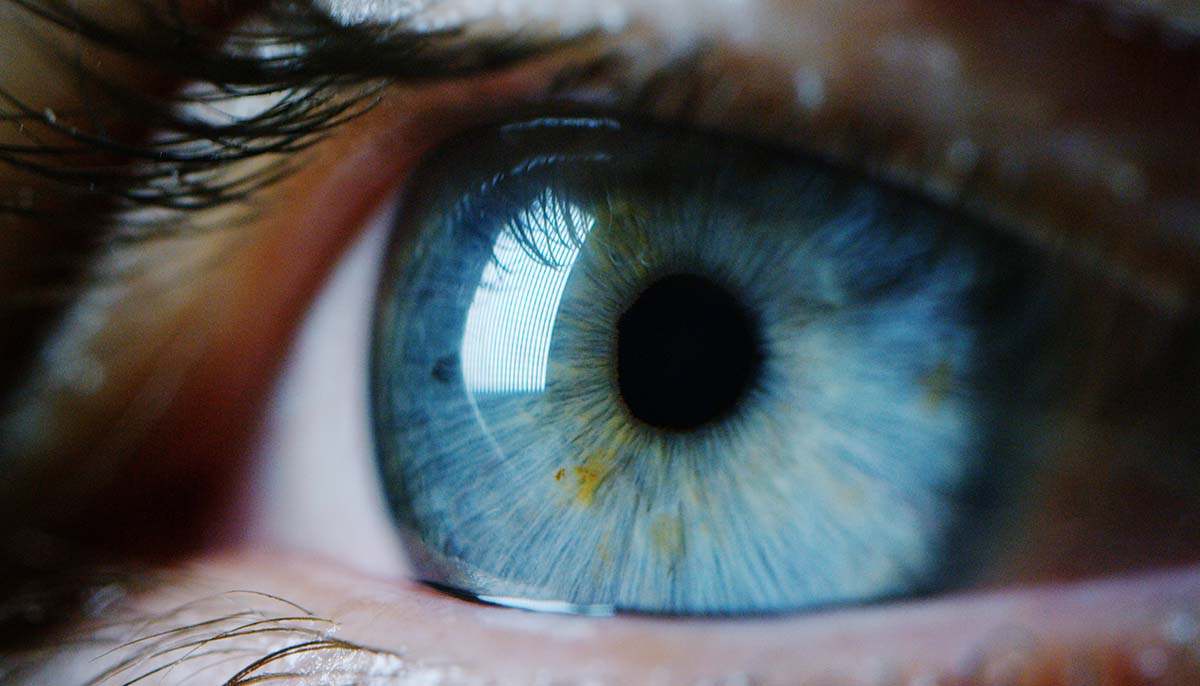 Close-up shot of a blue human eye