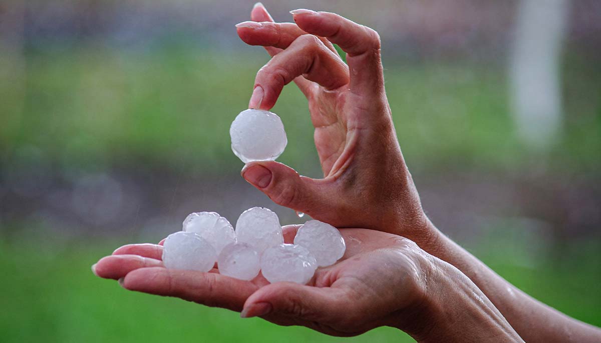 hail displayed by woman's hands