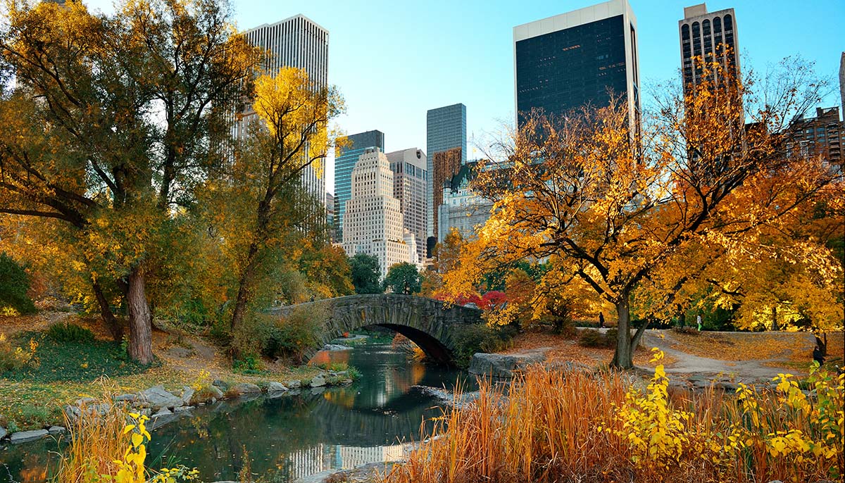 Central Park Autumn and buildings in midtown Manhattan New York City
