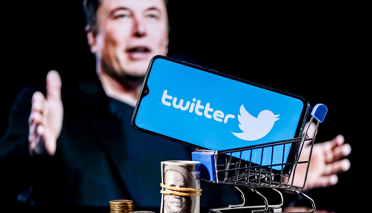 Elon Musk buys Twitter concept